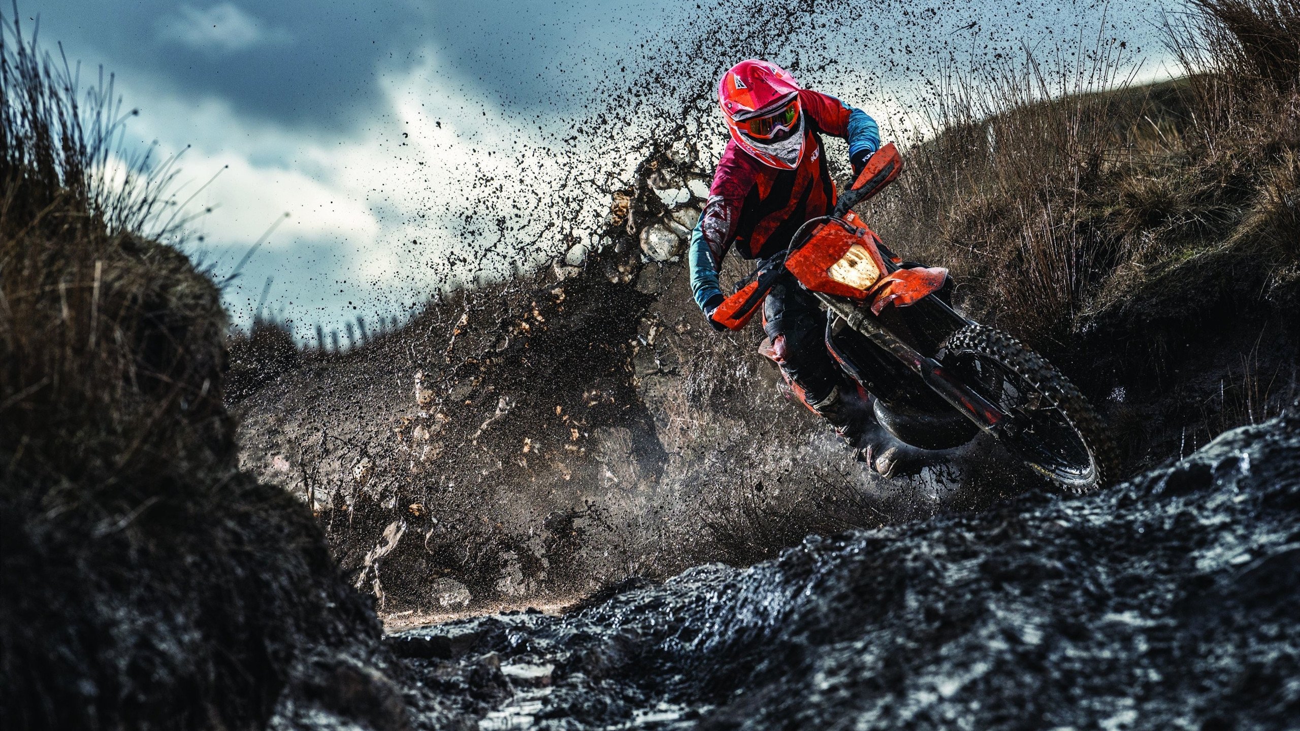 活塞强势拿下76人,小贾伦成为关键先生